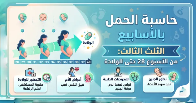 الثلث الثالث:من الأسبوع 28 حتى الولادة