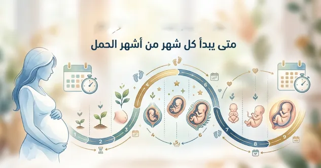 متى يبدأ كل شهر من أشهر الحمل؟